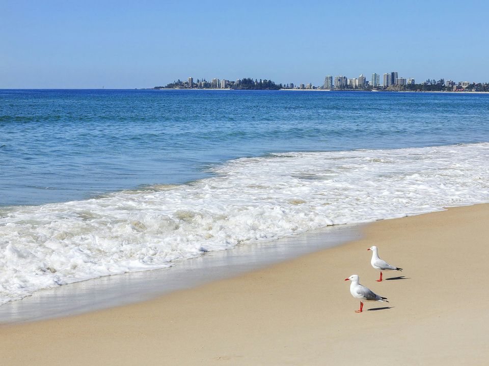 Sandbox Apartments on Tugun Beach, Gold Coast — 7