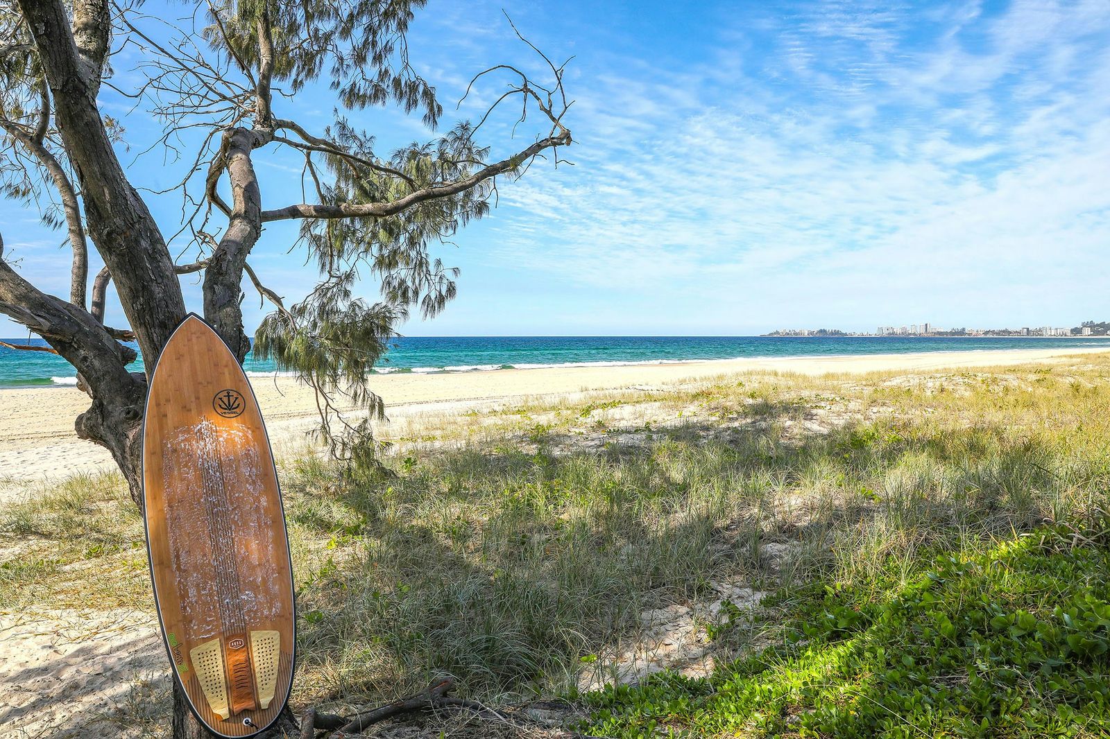 Surfboard against a tree on the dunes above Tugun Beach