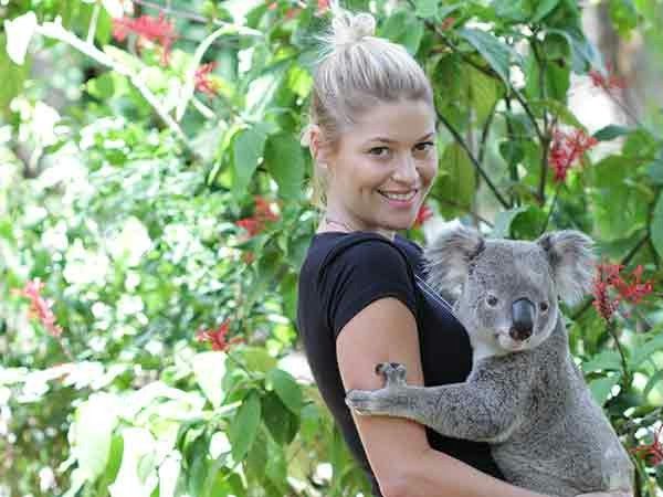 Koala at Currumbin Wildlife Sanctuary