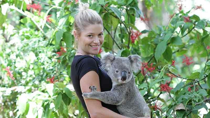 Koala at Currumbin Wildlife Sanctuary